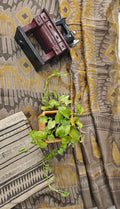 Chanderi silk suit