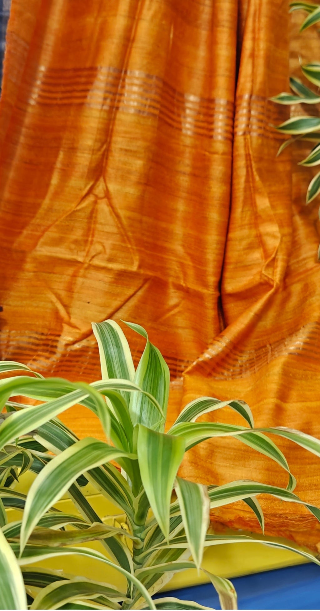 Saree 4