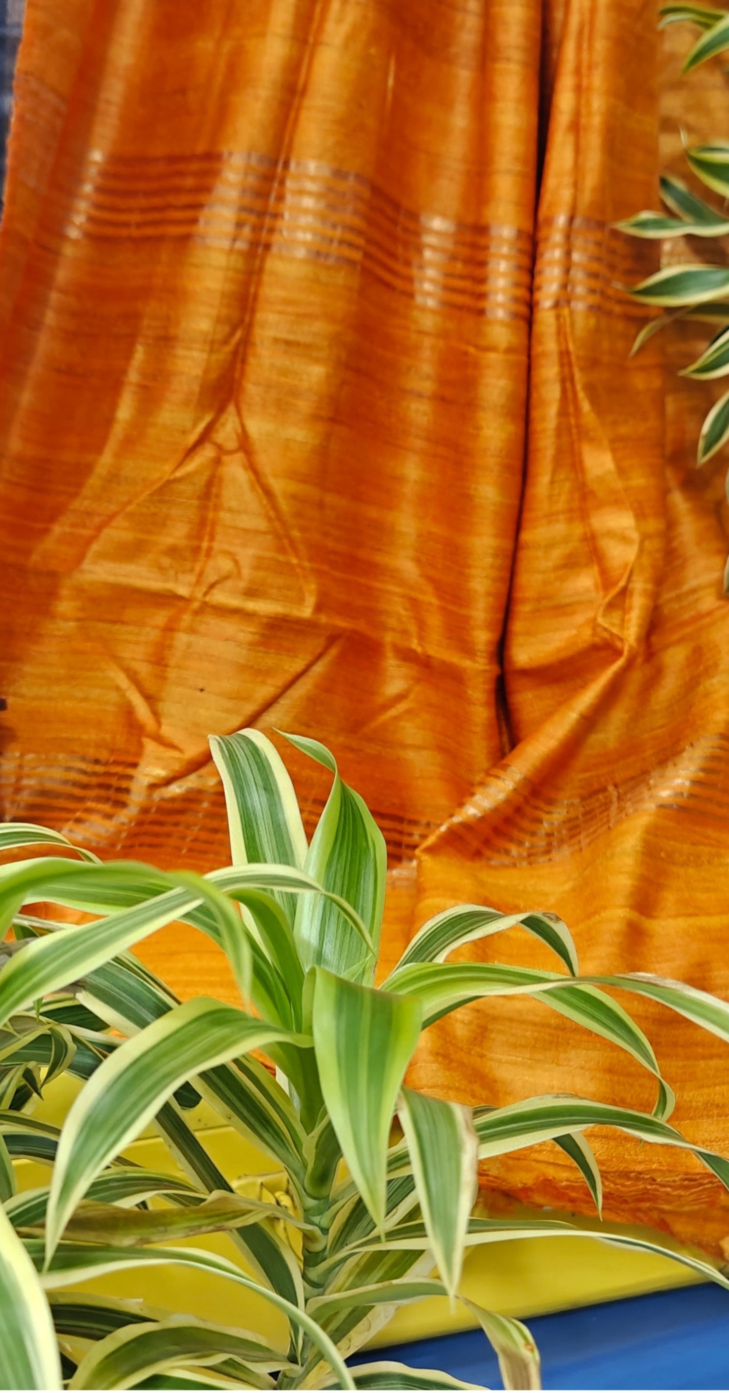 Saree 4