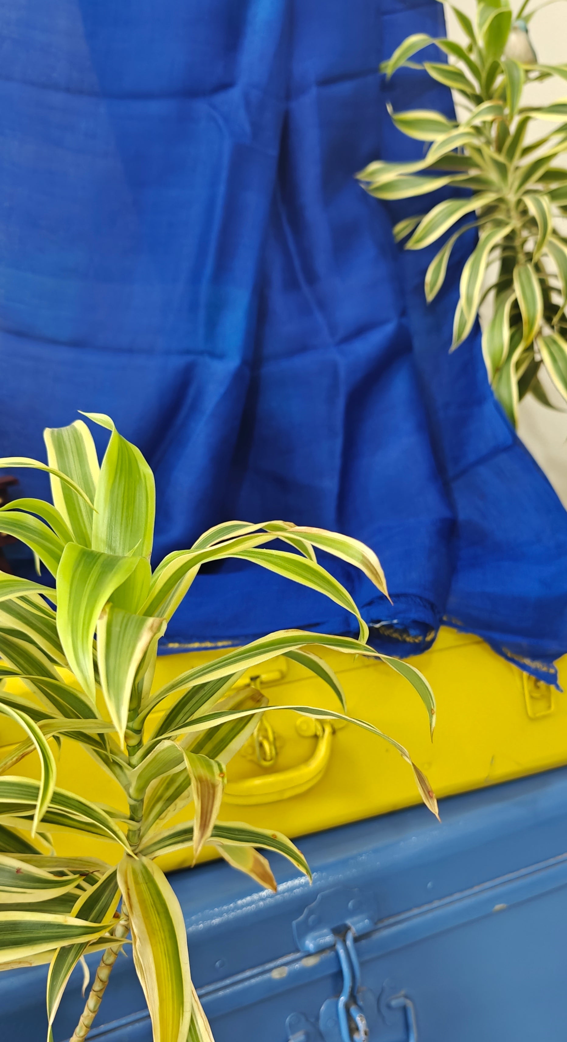 Shibori saree