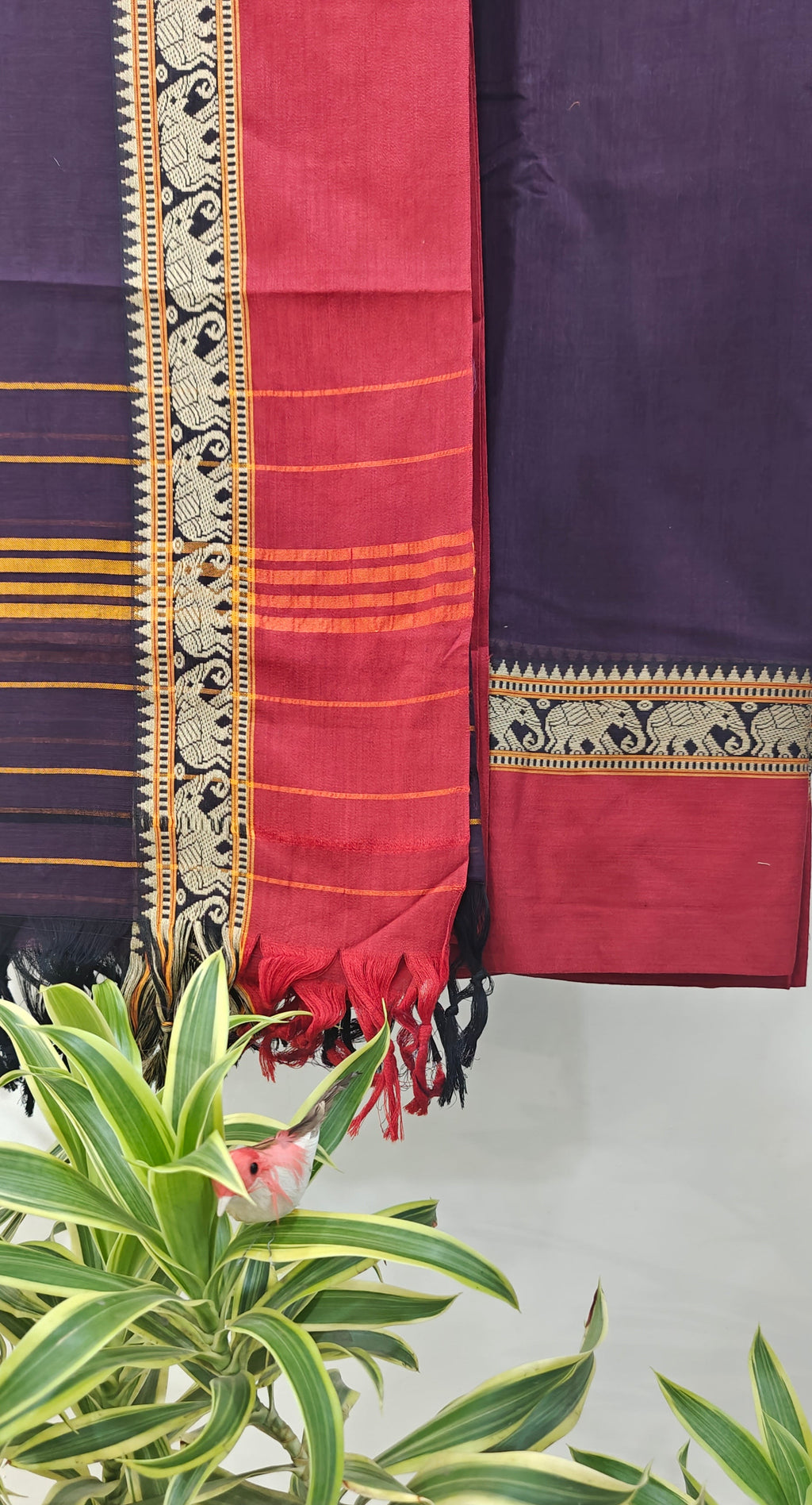 Narayanpit suit