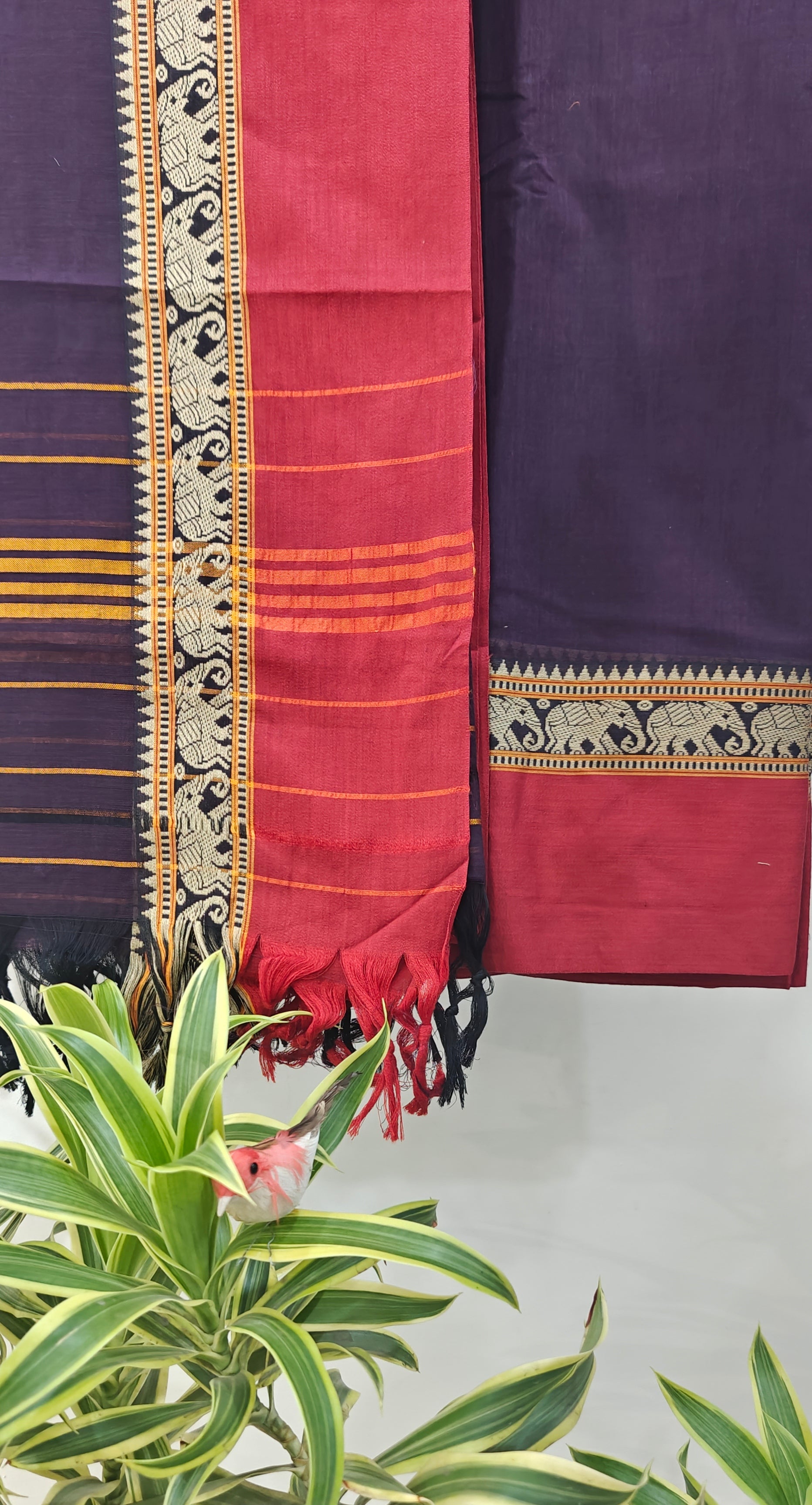 Narayanpit suit