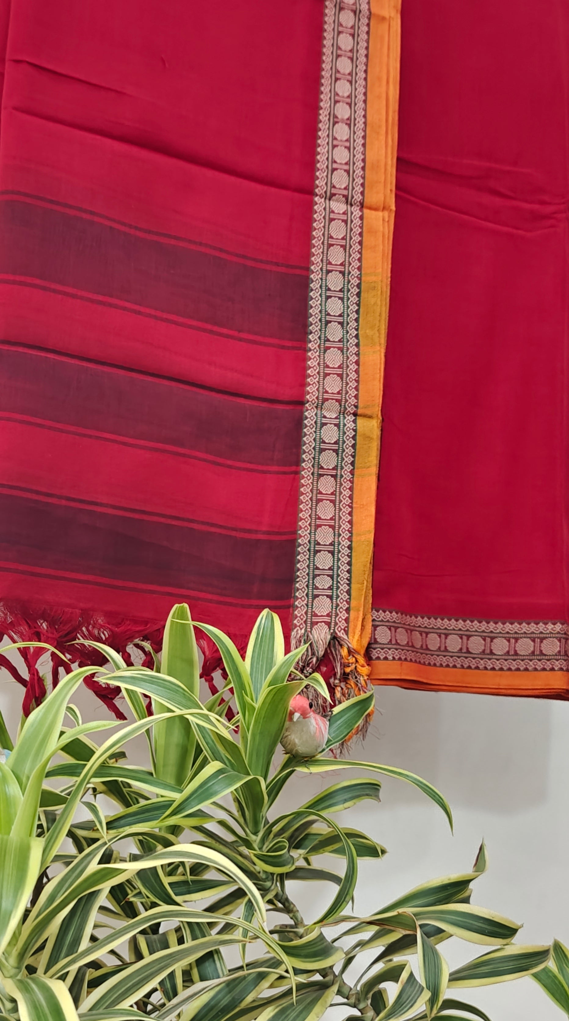 Narayan pit suit