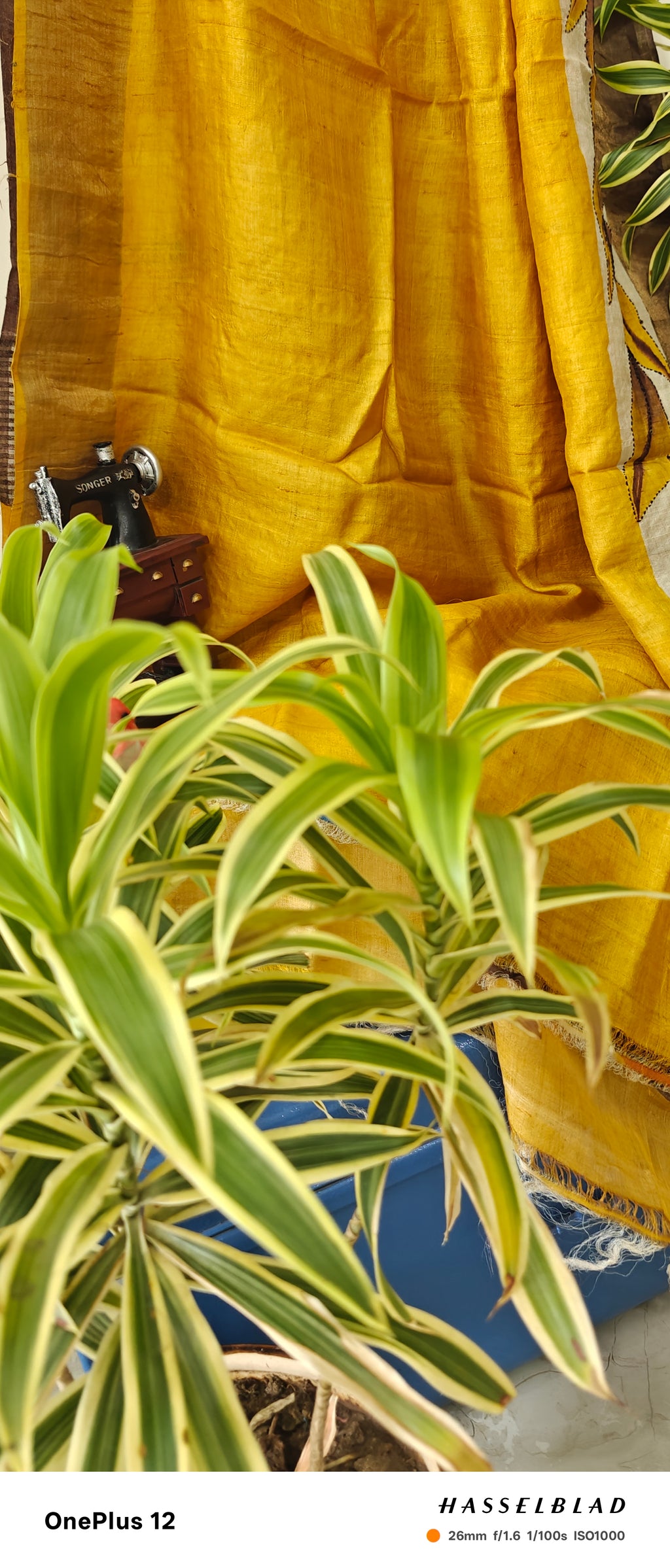 kosa saree