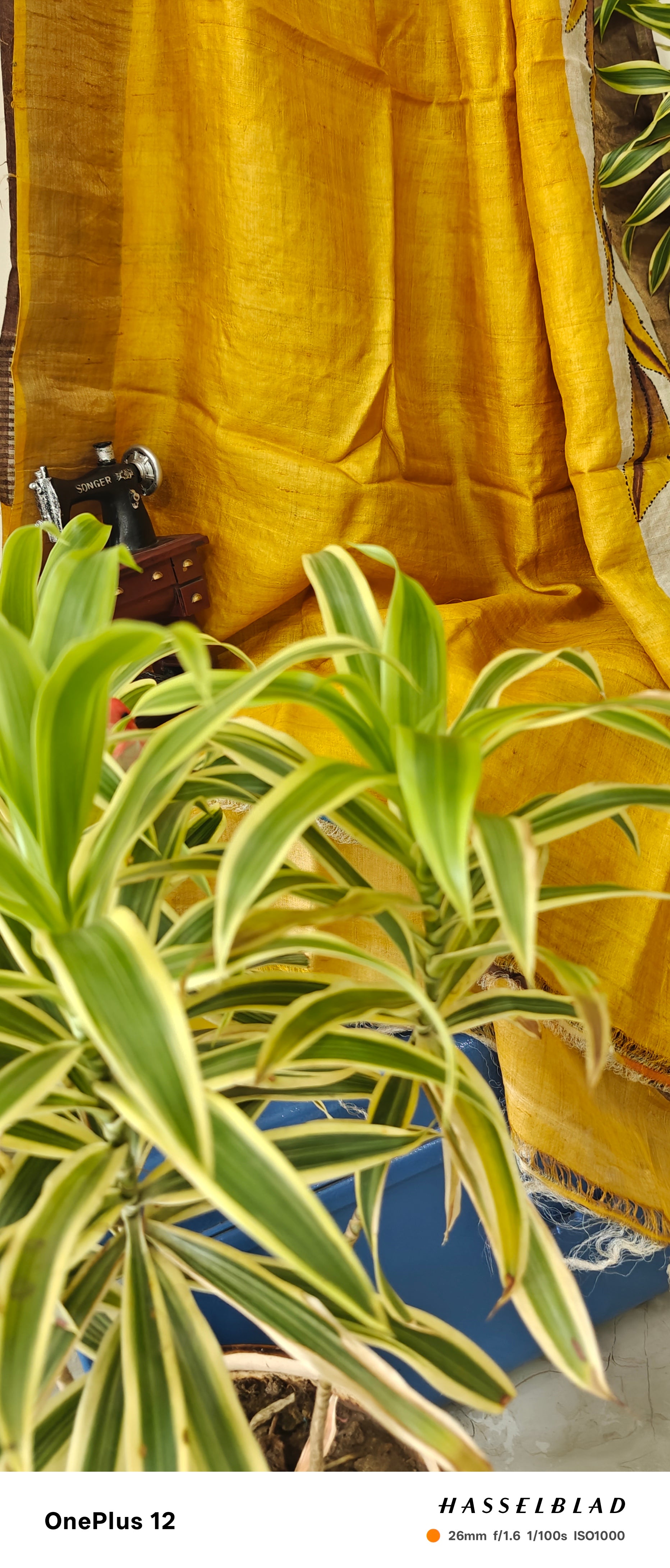 kosa saree